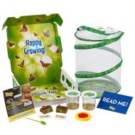 Insect Lore Deluxe Butterfly Garden with 2 Live Cups of Caterpillars & Feeding Kit