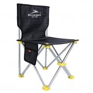 NISHANG Folding Camping Chair, Portable Folding Fishing Chair, Ultra-Light Aluminum Alloy Backpack, Suitable for Outdoor Travel Picnic Camping Fishing Beach Chair (Size : L)