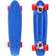 Playshion Complete 22 Inch Mini Cruiser Skateboard for Beginner with Sturdy Deck
