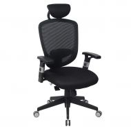 Smugdesk Office High Back Mesh Executive Chair,with Adjustable Armrests,Headrest and Lumbar Pad, Black Ergo
