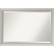 Amanti Art Framed Romano Silver Narrow Solid Wood Wall Mirrors, Glass Size: 24 x 36, Black