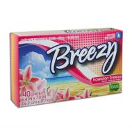 (Pack of 24) Breezy Fabric Softener Hawaiian, 40ct