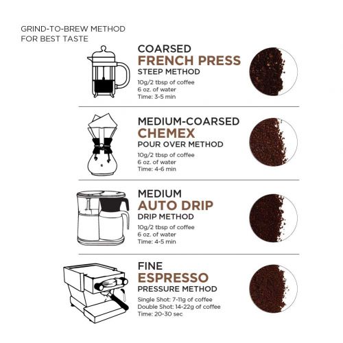  AmazonFresh Direct Trade Nicaragua Ground Coffee, Medium Roast, 12 Ounce (Pack of 3)