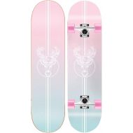 EEGUAI Skateboard Complete 31 Inch 7 Layer Maple Double Kick Concave Deck Skating Skateboard for Teens Adults Beginners Girls Boys (Color : B)