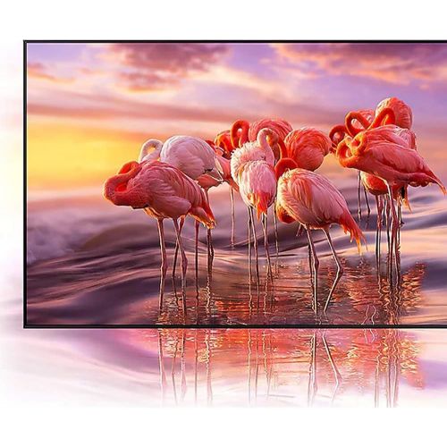 삼성 Samsung QN85QN90AA 85 Inch Neo QLED 4K Smart TV (2021) Bundle with Premium 1 YR CPS Enhanced Protection Pack