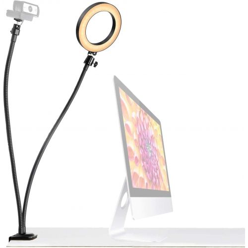  AceTaken Webcam Light Stand, 2in1 Ring Light with Dual 25 inch Flexible Arms Webcam Mount Compatible with Logitech StreamCam C920s C930e C922 C925e Brio, Compatible with iPhone and Mic