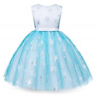 HenzWorld Elsa Anna Costume Dress Girls Princess Birthday Party Cosplay Accessories