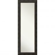 Amanti Art On The Full Length Outer Size 19 x 53 Door/Wall Mirror, Signore Bronze: 19x53