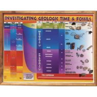 American Educational Products American Educational Investigating Geological Time and Fossils Chart, 24 Length x 18 Width