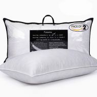 BESC Feather Pillows for Sleeping King Size - Pack of 2 Hotel Collection Soft Goose Down Pillow - Bedding Pillow Insert 18x34