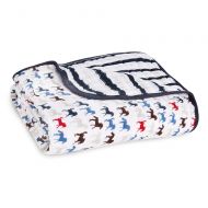 Aden + anais aden + anais Dream Blanket, 100% Cotton Muslin, 4 Layer lightweight and breathable, Large 47 X 47...