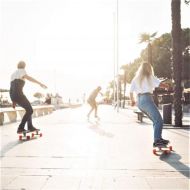 Long Island Skateboard - Dharma 38 Pintail Longboard - Complete