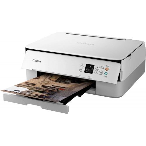 캐논 [아마존베스트]Canon Pixma TS5350 Colour Ink-Jet-All-in-One Device (Print, Scan, Copy, 3.8 cm LCD Display, WiFi, Print App, 4800x 1200Dpi), White