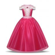 HNXDYY Girls Princess Aurora Dress Costume Carnival Party Elegant Dress Size 4-9 Years