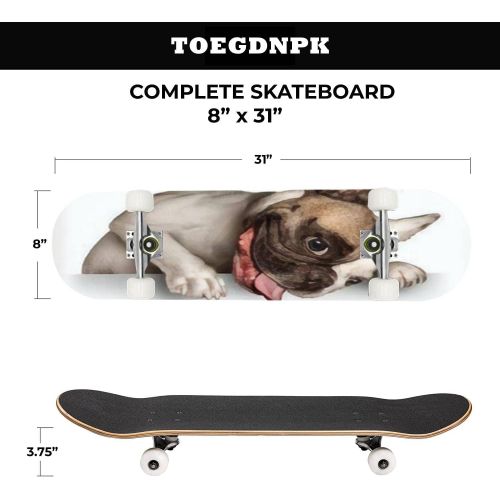  TOEGDNPK Skateboards for Beginners Teens Adults Closeup Portrait of The Smiling Dog American Staffordshire Terrier 31 X 8 Complete Standard Skate Board, Outdoor Sports Maple Double Kick Con