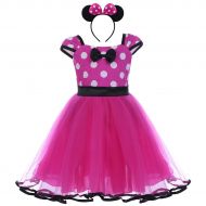 FYMNSI Princess Polka Dots Minnie Birthday Costume Outfits Baby Girls Ballet Tutu Dress+Bowknot Headband