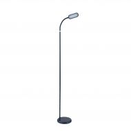 Syrinx LED Floor Lamp with Adjustable Gooseneck, Adjustable Color Temperature, and Color Settings (White) (Black)
