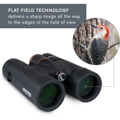 셀레스트론 Celestron Regal ED 10x42 Roof Prism Binoculars, Black, 71391