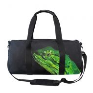 ArtsLifes Dragon Lizard Duffel Bag Vintage Weekender Overnight Bag Travel Tote Luggage Sports Duffle
