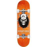 Birdhouse Hale Skull Skateboard Complete - 8.63
