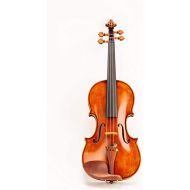 D Z Strad Violin Model 350 with Case, Bow, Dominant strings, Rosin and Shoulder Rest