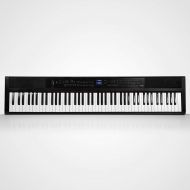 Artesia PE-88 | 88 Key Digital Piano with Semi Weighted Action & Built In Speakers + 130 Premium 3D/3 Layer Voices & 100 Rhythms Fully Orchestrated + Power Supply + Sustain Pedal +