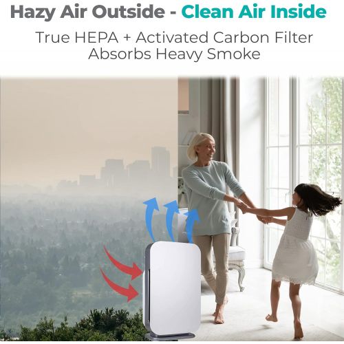  Alen FLEX Air Purifier, Quiet Air Flow for Large Rooms, 700 SqFt, Air Cleaner for Allergens, Dust, Mold, Pet Odors, Heavy Smoke with Long Filter Life