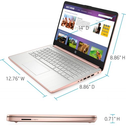 에이치피 2021 Newest HP 14 HD Laptop for Business and Student, Intel Celeron N4020(up to 2.8GHz), 4GB RAM, 64GB eMMC, 1 Year Office 365, USB-A&C, WiFi, Webcam, HDMI, Win10 S, w/64GB SD Card