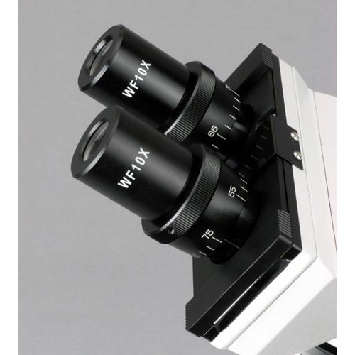 [아마존베스트]AmScope B100B Compound Binocular Microscope, 40X-2000X Magnification, Brightfield, Tungsten Illumination, Abbe Condenser, Plain Stage