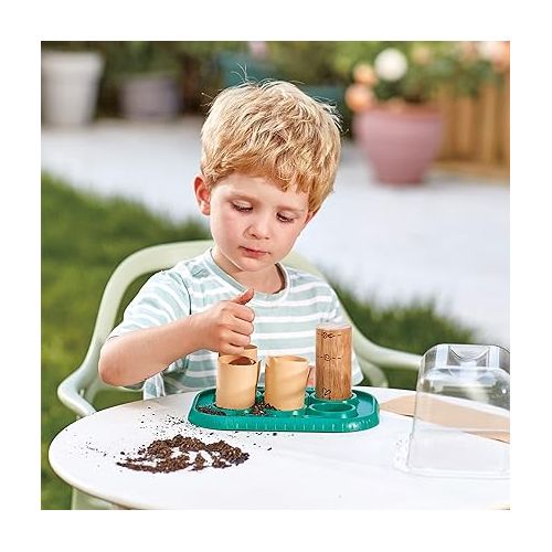 Hape Plant Growing Wooden Greenhouse Kits for Kids STEM Project Activity| Green Toys Gardening Science Gifts for Kids Ages 4Y+