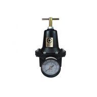 Coilhose Pneumatics 8804G Heavy Duty Series Regulator, 1/2-Inch Pipe Size with Gauge