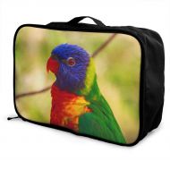 Edward Barnard-bag Parrot Bird Colorful Travel Lightweight Waterproof Foldable Storage Carry Luggage Large Capacity Portable Luggage Bag Duffel Bag