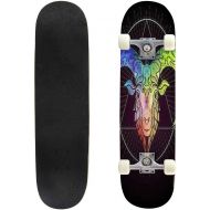 Mulluspa Classic Concave Skateboard Aries Sheep ram Zodiac Sign Astrological Horoscope Collection Longboard Maple Deck Extreme Sports and Outdoors Double Kick Trick for Beginners and Profes