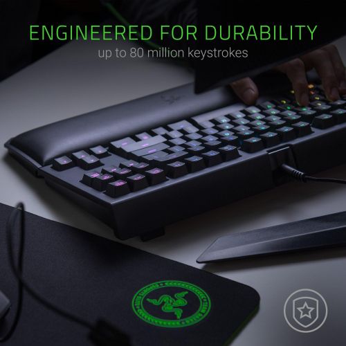 레이저 [아마존베스트]Razer BlackWidow TE Chroma v2 TKL Tenkeyless Mechanical Gaming Keyboard: Green Key Switches, Tactile & Clicky, Chroma RGB Lighting, Magnetic Wrist Rest, Programmable Macros, Classi