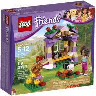 LEGO Friends Andreas Mountain Hut 41031 Building Set