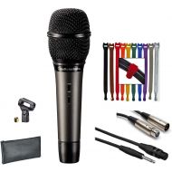 Audio-Technica ATM710 Cardioid Dynamic Handheld Microphone + Hosa Pro Mic Cable + Audio Interconnect Cable +Rip-Tie Lite 1/2 x 6 Light-Duty Strap Pk of 10 (Rainbow) Top Value Bundl