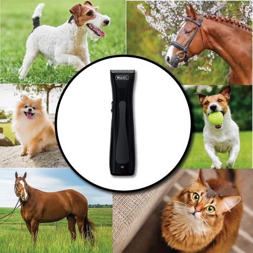  [무료배송] 왈 바리깡 프로페셔널 무선 클리퍼 Wahl Professional Animal Mini Figura Pet, Dog, Cat, Horse, and Livestock Pet Trimmer Kit (#9868), Black, one Size