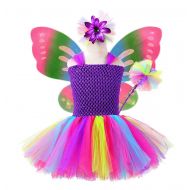 Tutu Dreams Girls Birthday Butterfly Costumes Outfits
