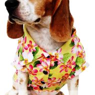 Runncha Shop Runncha shop Dog Shirts Summer Camp,Dog Shirts,Dog Clothes,Small,Medium,Large,Colorful shirts,T Shirt Pet Clothing, Puppy Clothes,Summer Dog Apparel,Hawaiian styles,Yellow flowers