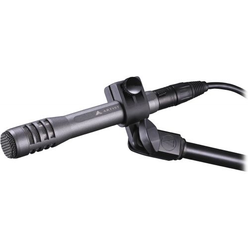 오디오테크니카 Audio-Technica AE5100 Cardioid Condenser Instrument Microphone