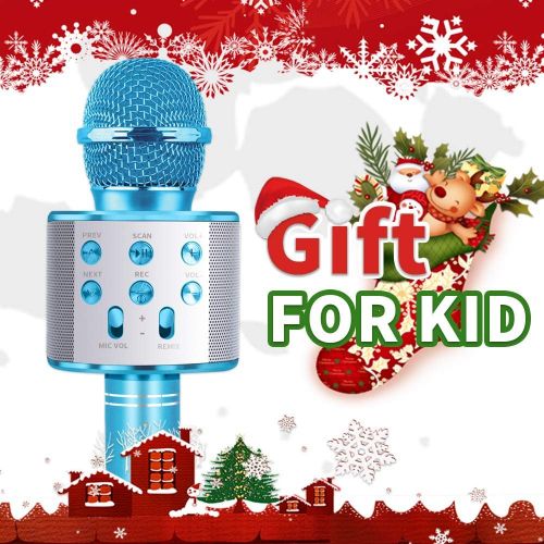  [아마존베스트]LITTLEFUN Wireless Bluetooth Karaoke Microphone Speaker Machine Home Party Birthday Gift - Great Gift
