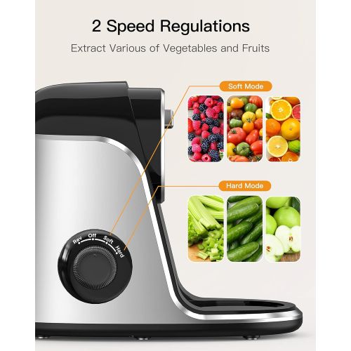  Boly Juicer Machine, Slow Masticating Juicer with 2 Speed Modes & Reverse Function, Easy to Clean Juicer BPA-Free Cold Press Juicer with Quiet Motor, Includes Cleaning Brush & Recipes f