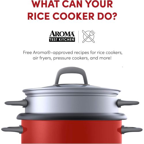  [아마존베스트]Aroma Housewares 14-Cup (Cooked) (7-Cup UNCOOKED) Pot Style Rice Cooker and Food Steamer (ARC-747-1NGR)
