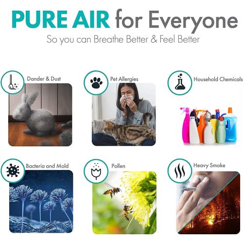  Alen FLEX Air Purifier, Quiet Air Flow for Large Rooms, 700 SqFt, Air Cleaner for Allergens, Dust, Mold, Pet Odors, Heavy Smoke with Long Filter Life