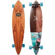 Arbor Skateboard - Fish Groundswell 2019
