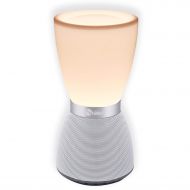 Svance Wireless Speaker 7 Color Modes Table Lamp, Portable Bluetooth Speakers - Compatible with TF Card Hands-free Call