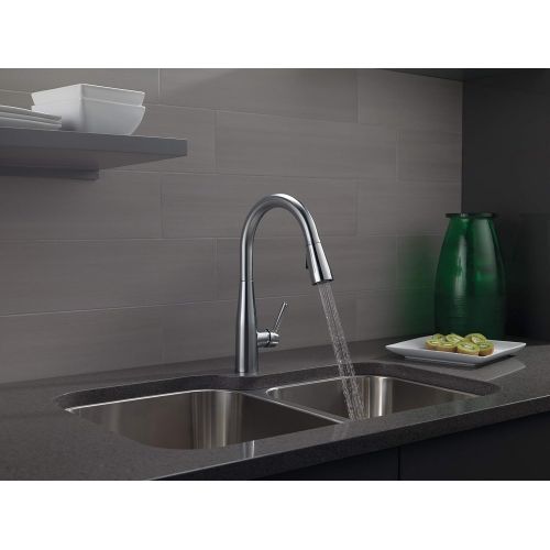  Delta Faucet Essa Pull Down Kitchen Faucet with Pull Down Sprayer, Kitchen Sink Faucet, Faucets for Kitchen Sinks, Single-Handle, Magnetic Docking Spray Head, Arctic Stainless 9113