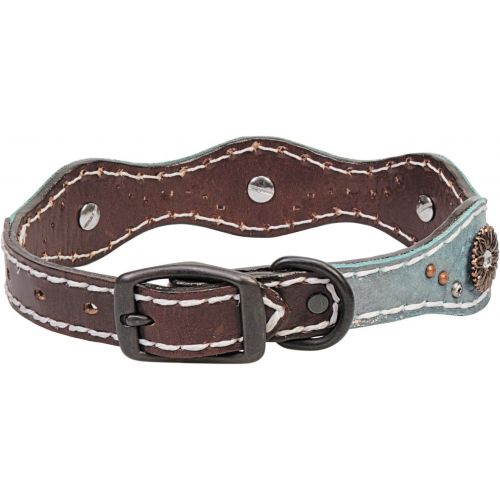  Weaver Leather Savannah Dog Collar