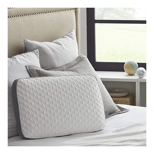 씰리 Sealy Molded Bed Pillow for Pressure Relief, Adaptive Memory Foam with Washable Knit Cover, Standard, 16x24x5.75 Inches, White, Grey