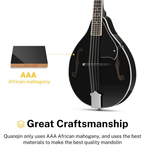  [아마존베스트]Donner A Style Mandolin Instrument Sunburst Mahogany DML-100B With Tuner String Big Bag and Guitar Picks, Black